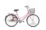 XE ĐẠP THỐNG NHẤT 219-24