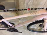 Xe đạp thể thao Liv Alight 2 2021