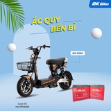XE MÁY ĐIỆN DK BIKE 133M