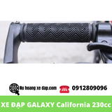 Xe Đạp Thể Thao California 230cc