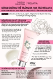 Serum dưỡng thể trắng da hoa trà Weilaiya - Body Lotion ban đêm