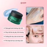 Kem dưỡng ẩm & phục hồi da Caryophy Skin Repair Cream 50ml