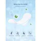 Băng vệ sinh hằng ngày siêu mềm mại hương trà Aiwina 160mm 8 miếng