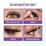 Mascara Uốn Mi, Làm Dài Và Dày Mi Tức Thì Maybelline The Falsies Lash Lift Waterproof - Very Black 8.6ml