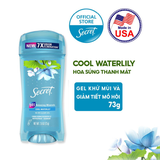 Gel ngăn tiết mồ hôi và khử mùi suốt 48 giờ Secret 73g