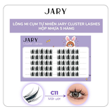 Lông mi cụm tự nhiên hộp 5 hàng Jary Cluster Lashes