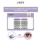 Lông mi cụm tự nhiên hộp 5 hàng Jary Cluster Lashes