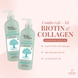 Bộ Gội Xả BIOTIN & COLLAGEN Phiên Bản 500ml
