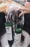 Bộ Dầu Gội Và Xả Gừng Weilaiya Hair Strength Shampoo & Conditioner