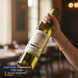 Vang trắng Pháp CALVET SAUVIGNON BLANC - Dư Vị Tinh Tế Từ Lòng Đất Bordeaux