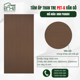 BMH PG06DV - PETG VÂN GỖ GIÁ TỴ