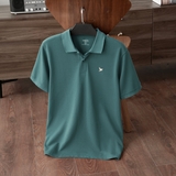 ÁO POLO FALCON BASIC