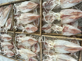 Mực ống 2 nắng (DẺO) loại 6 con Gói 1kg | Đặc sản Cần Giờ, Đồ Ăn Ngon, Thực Phẩm Dinh Dưỡng