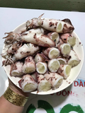Mực trứng (Mực ống tươi) Gói 500g | Đặc sản Cần Giờ, Hải Sản Tươi Ngon, Thực Phẩm Dinh Dưỡng