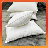 Ruột Gối Nằm Lông Vũ Microfiber Cao Cấp VUA GỐI Deluxe Pillow Gối Lông Vũ Nhân Tạo Êm Ái Kháng Khuẩn Chuẩn Khách Sạn