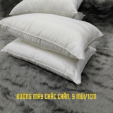 Ruột Gối Nằm Lông Vũ Microfiber Cao Cấp VUA GỐI Deluxe Pillow Gối Lông Vũ Nhân Tạo Êm Ái Kháng Khuẩn Chuẩn Khách Sạn