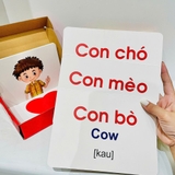 Bộ thẻ học Flash Card dạy trẻ về thế giới xung quanh