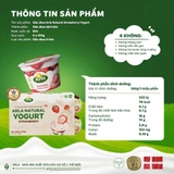 Sữa chua nguội Arla Natural Yogurt 12M+ (100gx6)