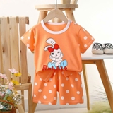 Bộ cộc cotton Quảng Châu hoạt hình cho bé