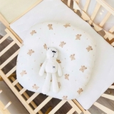 Gối chống trào ngược Anchee