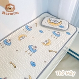 Set Chiếu Điều Hòa Kèm Gối Hermon