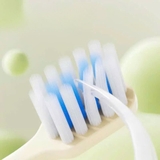 Set 2 chiếc bàn chải Khủng long 3D LMK cho bé