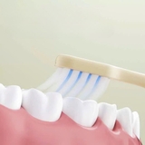 Set 2 chiếc bàn chải Khủng long 3D LMK cho bé