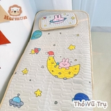 Set Chiếu Điều Hòa Kèm Gối Hermon