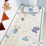 Set Chiếu Điều Hòa Kèm Gối Hermon