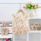 Bộ tole đùi áo cánh tiên cúc ngực H&A Kids cho bé gái