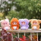 Hộp mù Migo Forest Party