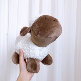 Gấu bông đáng yêu nhiều mẫu