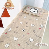 Set Chiếu Điều Hòa Kèm Gối Hermon