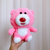 Gấu bông đáng yêu nhiều mẫu
