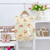 Bộ tole đùi áo cánh tiên cúc ngực H&A Kids cho bé gái