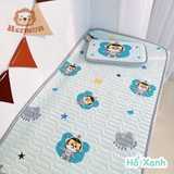 Set Chiếu Điều Hòa Kèm Gối Hermon