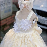 Đầm ren cột cổ kết hoa trắng bé gái