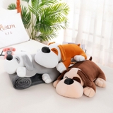 Gấu Bông Kèm Chăn Cao Cấp Đáng Yêu