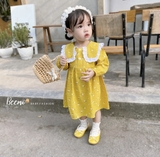 Đầm xoè babydoll hoa nhí