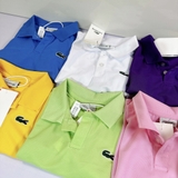 Áo thun polo cá sấu xuất dư
