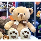 Gấu bông Teddy choàng khăn trái tim