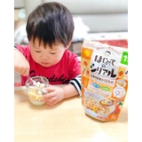 Ngũ cốc dinh dưỡng Wakodo 12m