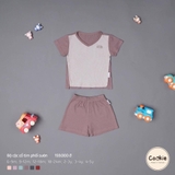 Bộ cộc tay cổ tim phối sườn Cookie chất tăm lạnh