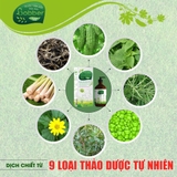 Nước tắm gội thảo dược cho bé Bobber 300ml
