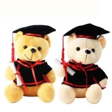 Gấu bông tú tài tốt nghiệp