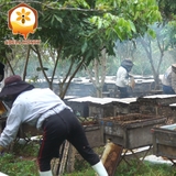 Mật Ong Quà Tết Nhâm Dần 2022