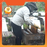 1L Mật Ong Hoa Cỏ
