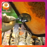 350ml Mật Ong Hoa Cỏ