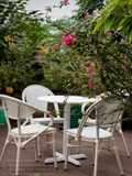 ghe-cafe-yf05