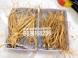 SÂM TƯƠI HÀN QUỐC: SIÊU_TO_KHỔNG_ LỒỒỒỒỒỒỒỒỒ